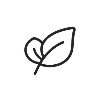 Kava