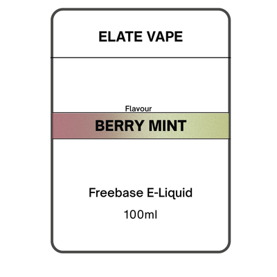 Berry Mint E-liquid 100ml